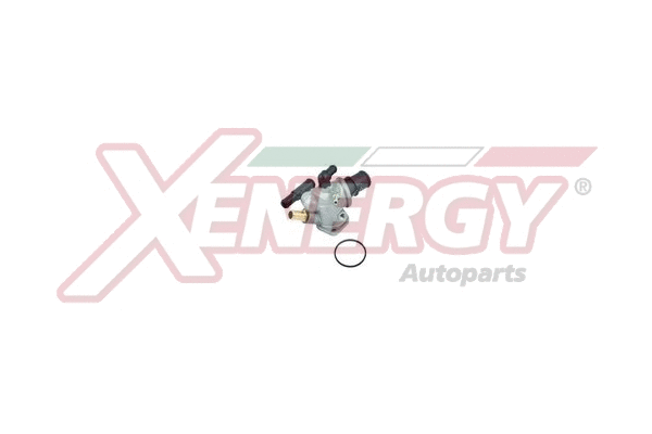 Thermostat, coolant (XT6490)