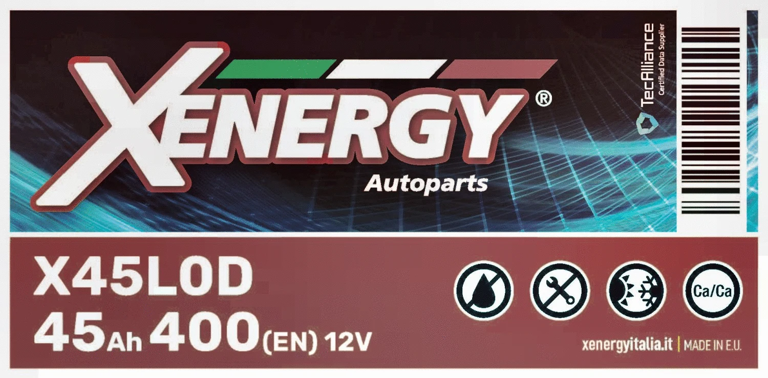 Starter Battery (X45L0D)