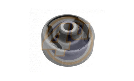 Mounting, control/trailing arm (FR-P-01313)