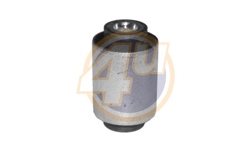 Mounting, control/trailing arm (BW-P-38731)