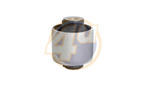 Mounting, control/trailing arm (BW-P-12194)