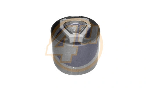 Mounting, control/trailing arm (BW-P-18833)