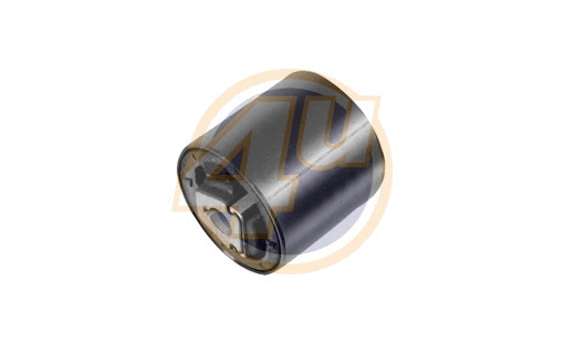 Mounting, control/trailing arm (BW-P-24020)