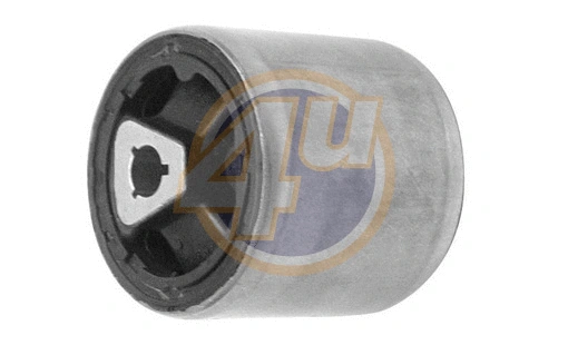 Mounting, control/trailing arm (BW-P-89708)