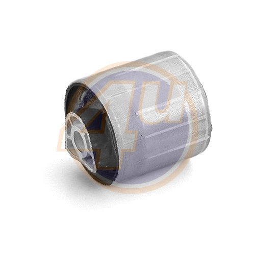 Mounting, control/trailing arm (BW-P-04120)