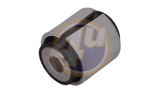 Mounting, control/trailing arm (BW-P-14072)