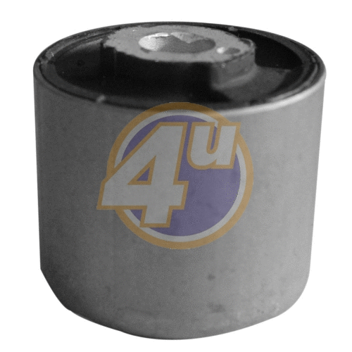 Mounting, control/trailing arm (BW-SB-00053)