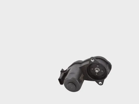 Control Element, parking brake caliper