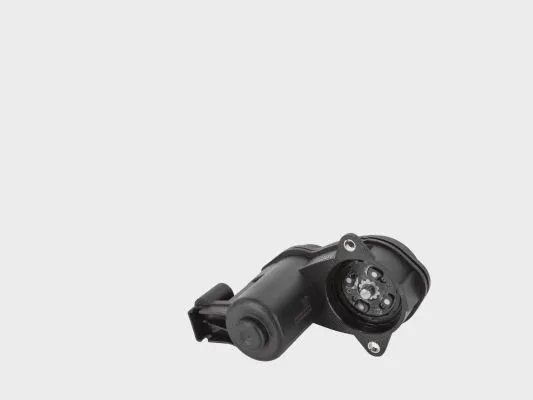 Control Element, parking brake caliper