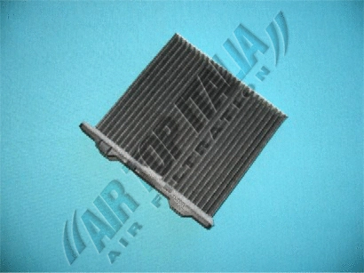 Filter, cabin air (Z556)