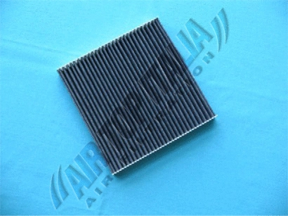 Filter, cabin air (Z551)