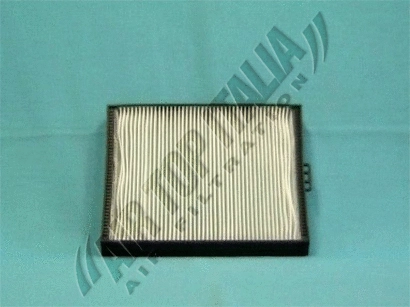 Filter, cabin air (ZF462)