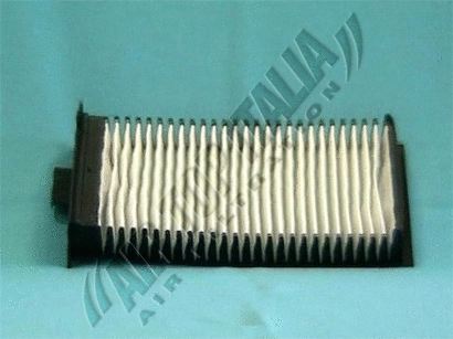 Filter, cabin air (ZF489)