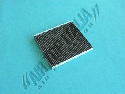 Filter, cabin air (Z601)