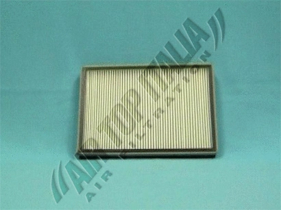 Filter, cabin air (ZF020)