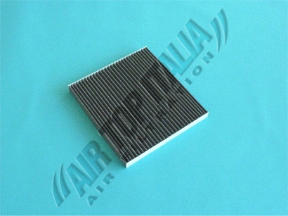 Filter, cabin air (Z600)