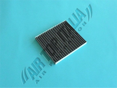 Filter, cabin air (Z606)