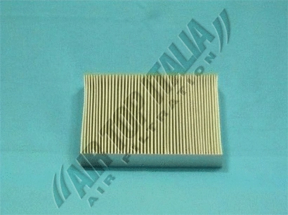 Filter, cabin air (ZF381)