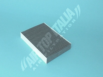 Filter, cabin air (Z634)