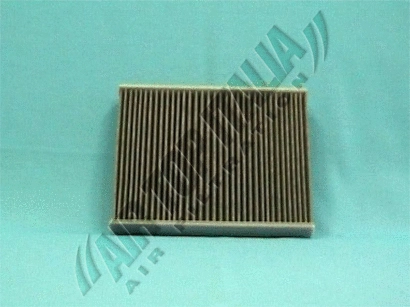 Filter, cabin air (Z419)