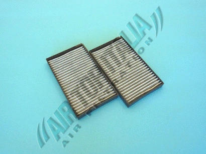 Filter, cabin air (Z598)