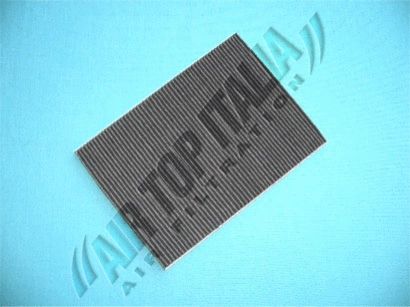 Filter, cabin air (Z579)