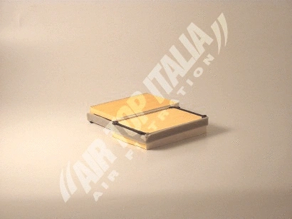 Filter, cabin air (APG1008)