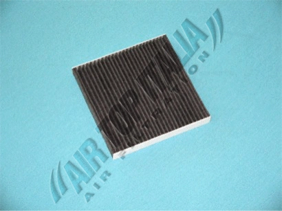 Filter, cabin air (Z539)