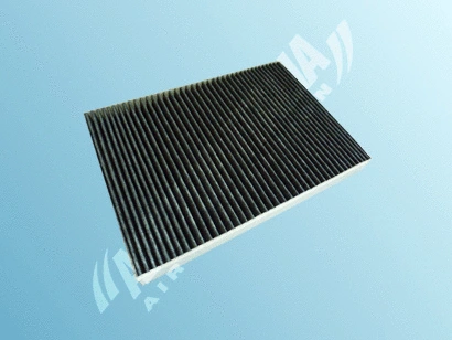 Filter, cabin air (Z668)