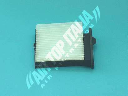 Filter, cabin air (ZF619)