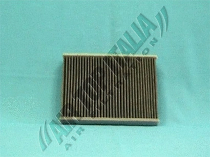 Filter, cabin air (Z436)