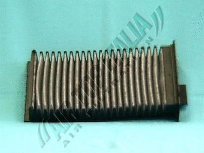 Filter, cabin air (Z489)