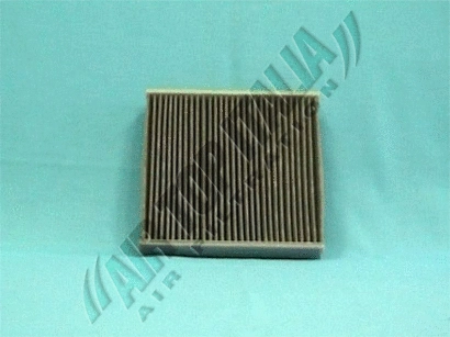 Filter, cabin air (Z429)