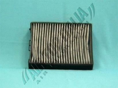 Filter, cabin air (Z448)