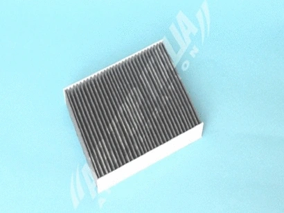 Filter, cabin air (Z621)