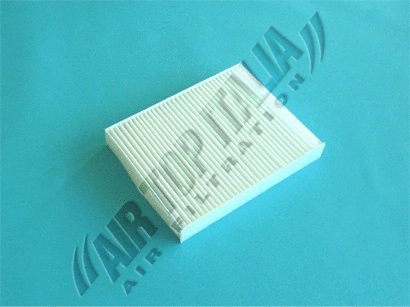 Filter, cabin air (ZF595)