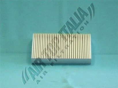 Filter, cabin air (ZF493)