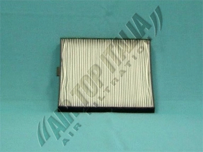Filter, cabin air (ZF484)