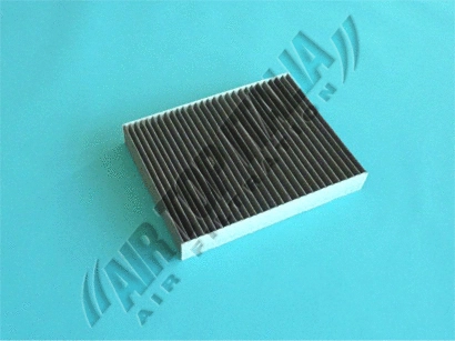 Filter, cabin air (Z595)