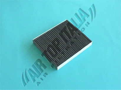 Filter, cabin air (Z604)