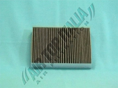 Filter, cabin air (Z381)