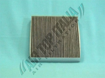 Filter, cabin air (Z383)