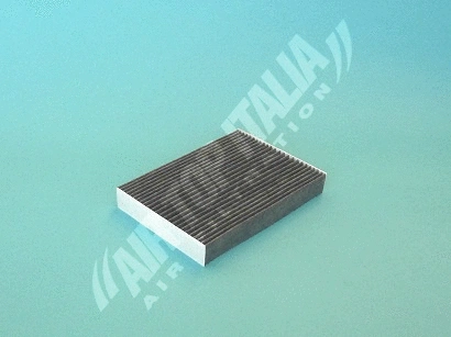 Filter, cabin air (Z640)