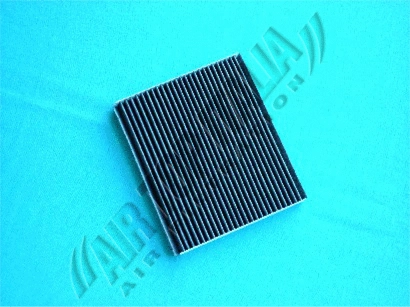 Filter, cabin air (Z587)