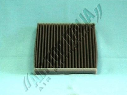 Filter, cabin air (Z490)