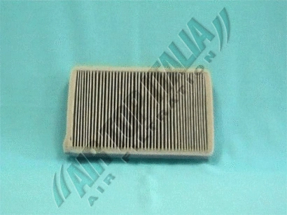 Filter, cabin air (Z333)