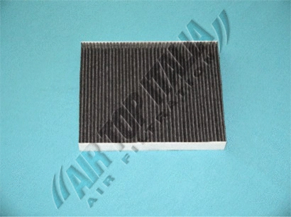 Filter, cabin air (Z541)