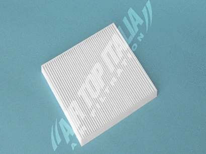 Filter, cabin air (ZF625)