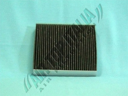 Filter, cabin air (Z384)