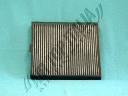 Filter, cabin air (Z484)
